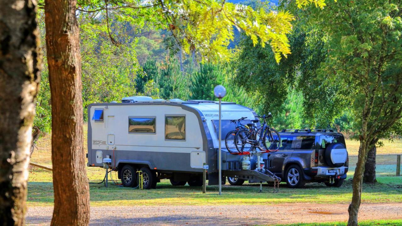 Big4 Porepunkah Holiday Park Bright Ngoại thất bức ảnh