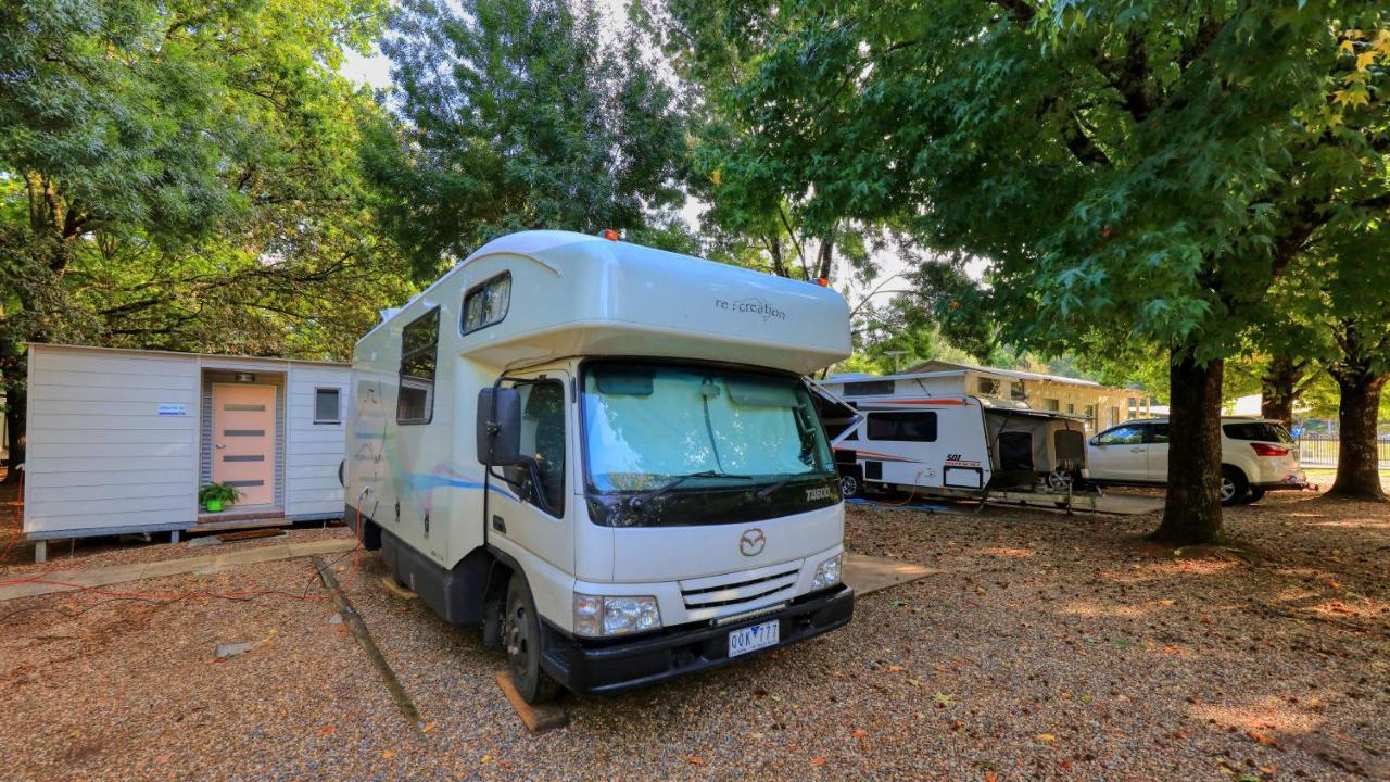Big4 Porepunkah Holiday Park Bright Ngoại thất bức ảnh
