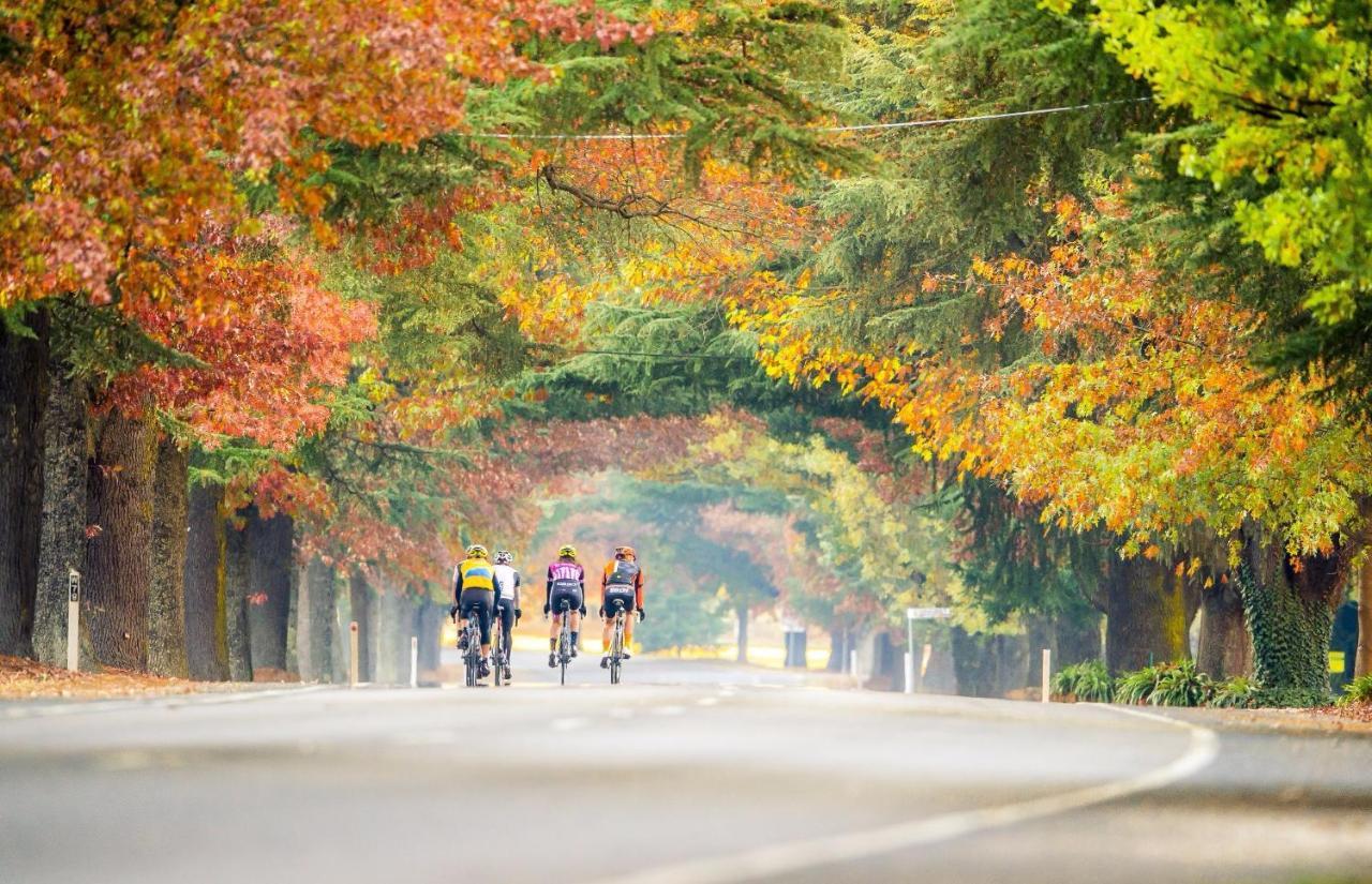 Big4 Porepunkah Holiday Park Bright Ngoại thất bức ảnh